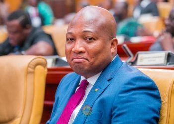 Service Ghana Auto Group linked to Akufo-Addo’s daughters – Ablakwa