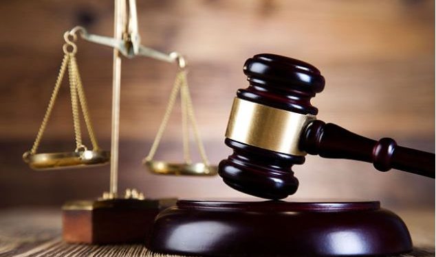 4 Muffin Farms staff in court for alleged stealing