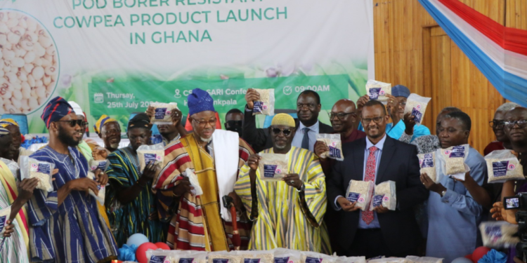 Ghana releases first GMO crop for commercial cultivation