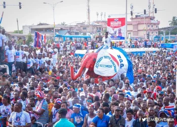 A/R: NPP set to inaugurate main campaign team in  August 4