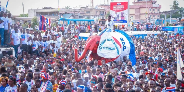A/R: NPP set to inaugurate main campaign team in  August 4