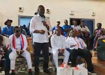 NAPO personally apologize to Nkroful Chiefs over disrespectful comment against Dr. Kwame Nkrumah