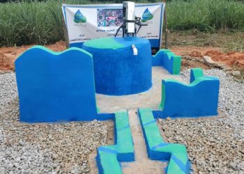 Deputy Education Minister  halts NGO’s borehole project for Assin Nsuta Agricultural SHS