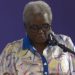 You’re safe with NPP -Elizabeth Ohene to Ghanaians