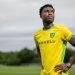 English Championship club Norwich City announce signing of Ghana midfielder Forson Amankwah