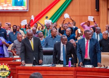 Apologise to Ghanaians for the many other ‘economic sins’ of the Akufo-Addo /Bawumia NPP gov’t – Minority to finance Minister