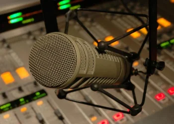 Pro-NDC radio hosts dominate indecent language violations – MFWA July report