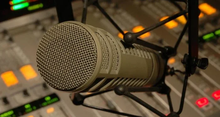 Pro-NDC radio hosts dominate indecent language violations – MFWA July report