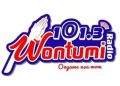 Wontumi Radio
