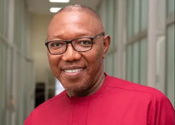 UPSA renaming: Ghanaians won’t vote for you to continue ‘shameless renaming spree’ – Apaak to NAPO