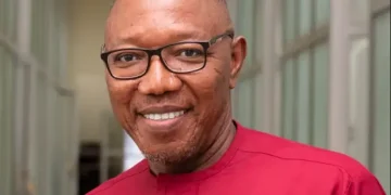 UPSA renaming: Ghanaians won’t vote for you to continue ‘shameless renaming spree’ – Apaak to NAPO