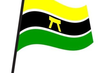 AYA urges immediate gov’t action to end Galamsey, commends organized labour’s stance