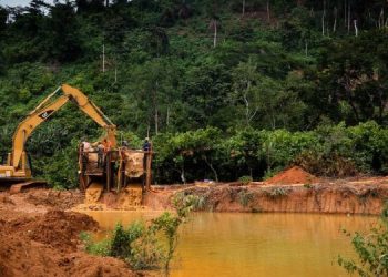 Agric and Aquaculture groups urge gov’t to Halt Galamsey Operations immediately