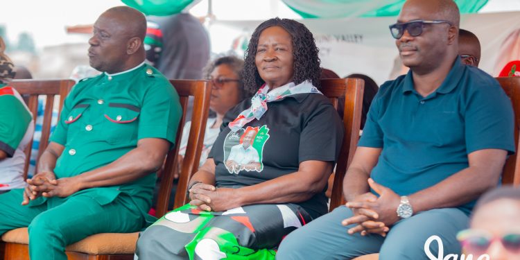 Prof. Opoku-Jane Naana OpokuAgyemang expresses concern about abandoned community day schools