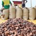 COCOBOD revises 2024/25 cocoa production target down by 19.8% due to unprecedented dry spell