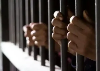 76 persons have been convicted for illegal mining since 2021 – Godfred Dame