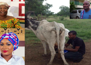 Akua Donkor threatens to evict Fulanis if elected President