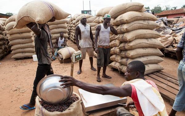 Cocoa handlers demand wage increase, plan strike over unfair pay