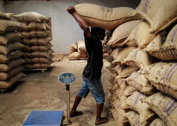 NDC gov’t will restore Cocoa sector- Sampsom Ahi