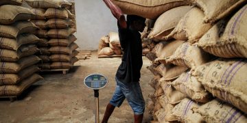 NDC gov’t will restore Cocoa sector- Sampsom Ahi