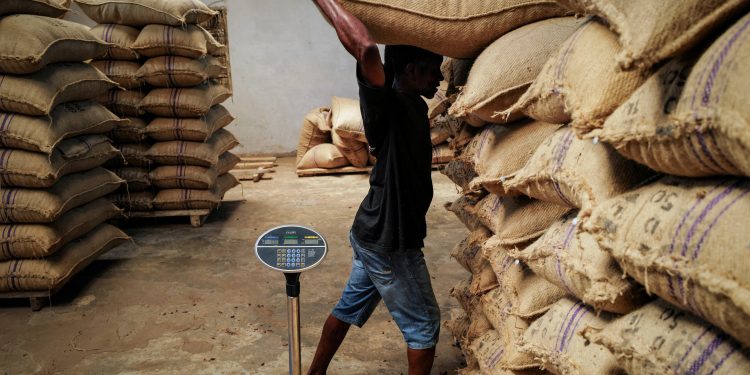 NDC gov’t will restore Cocoa sector- Sampsom Ahi