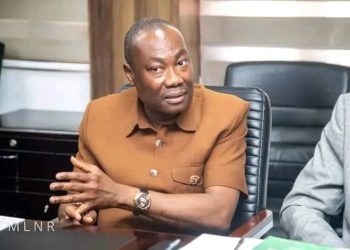 Minerals Commission CEO highlights illegal mining challenges and regulatory efforts during parliamentary session