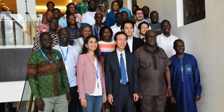 Govt urged to invest in irrigation to boost all-year-round farming