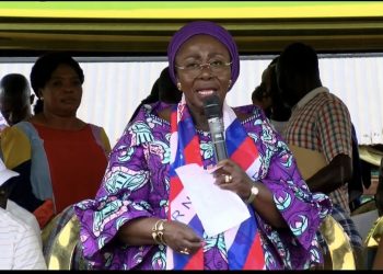 Election 2024: NPP will ensure vigilance – Chief of Staff