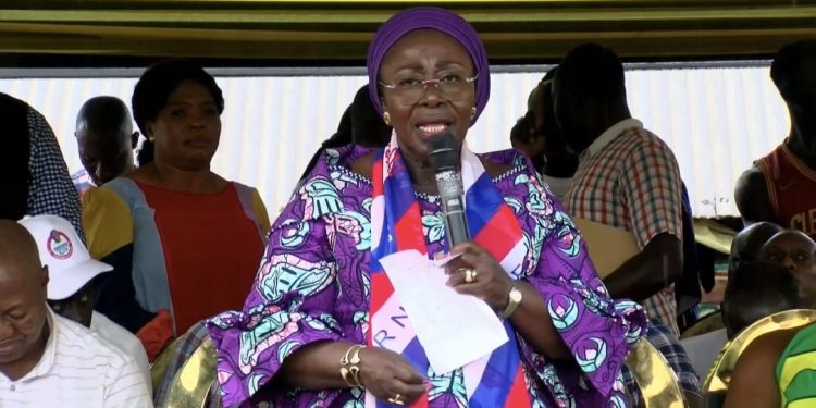 Election 2024: NPP will ensure vigilance – Chief of Staff