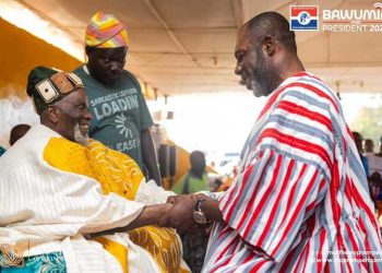 NPP holds deep respect for chieftaincy institutions – NAPO assures Yaa Naa