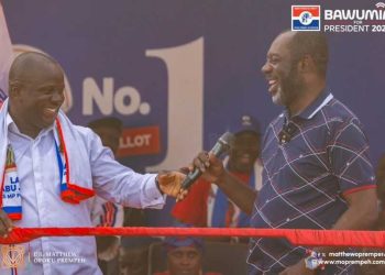 December 7 elections: NAPO is NDC’s nightmare – Lands Minister