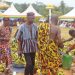 Asante-Akim Central: 51 year-old woman crowned 2024 best farmer