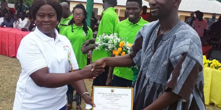Asante-Akim Central: 51 year-old woman crowned 2024 best farmer