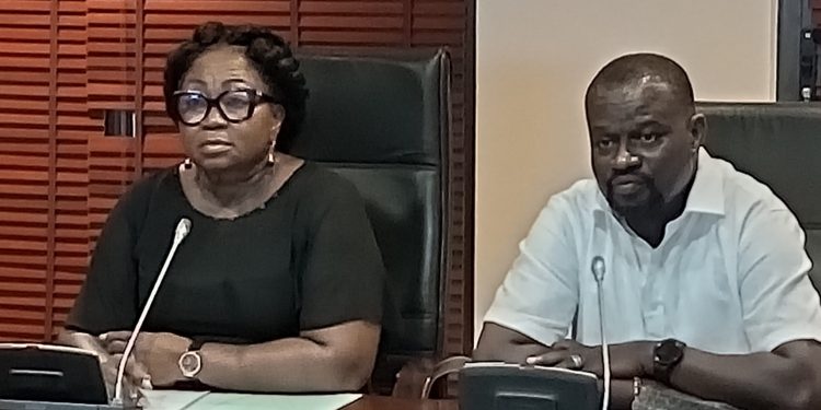 Minority in Parliament urges President Mahama to address post-election violence