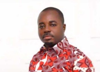 Owusu-Akyaw urges greater action on clean energy adoption