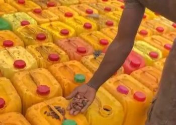 Cocoabod, GRA foil Cocoa smuggling attempt at Togo border