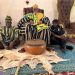 Paramount Chief of Talensi endorses Upper East regional Minister