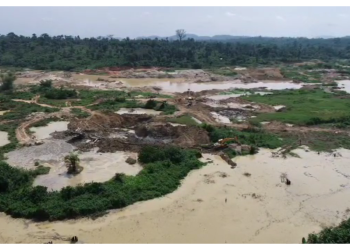 A/R: Indian, Chinese, Burkinabe, and others arrested; 6 excavators seized in Bosomefreho Anti-Galamsey operation