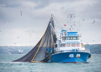 Ghana suspends licenses of four industrial fishing vessels over violations