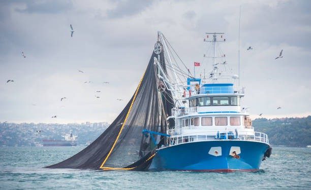 Ghana suspends licenses of four industrial fishing vessels over violations