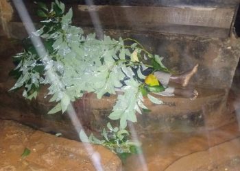 3 killed in shooting incident at Nkawkaw