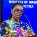 Ursula Owusu-Ekuful criticizes NPP members for blaming Akufo-Addo Over election defeat