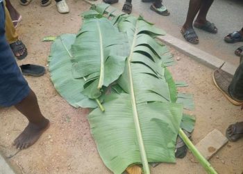 Two drivers In custody following separate toad tragedies which claimed lives of 2 pupils in Takoradi