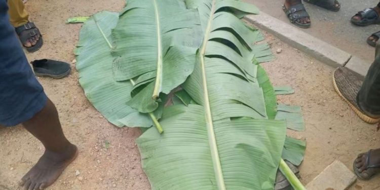 Two drivers In custody following separate toad tragedies which claimed lives of 2 pupils in Takoradi