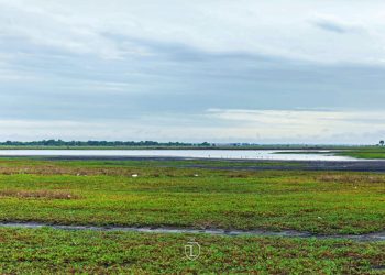 IKI-CREAF Project set to protect migratory birds and wetlands in Ghana