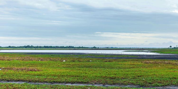 IKI-CREAF Project set to protect migratory birds and wetlands in Ghana