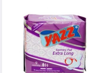 Kokonte, yazz, onion, maize among prices of essentials drop sharply- Finance Minister highlights progress