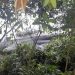Helicopter Crash at Adansi Akrofuom Claims Lives of Dr. Omane Boamah, Dr. Samuel Sarpong, Dr. Ibrahim Murtala, and Five Others – Gov’t Confirms
