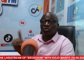 Nana Yaw Osei Calls Out NPP’s ‘Misleading’ Campaign on Dr. Bawumia’s Achievements