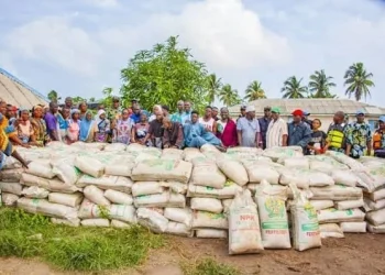 Gov’t re-introduces Free Cocoa Fertiliser Programme for 2025/2026 Season — Ato Forson